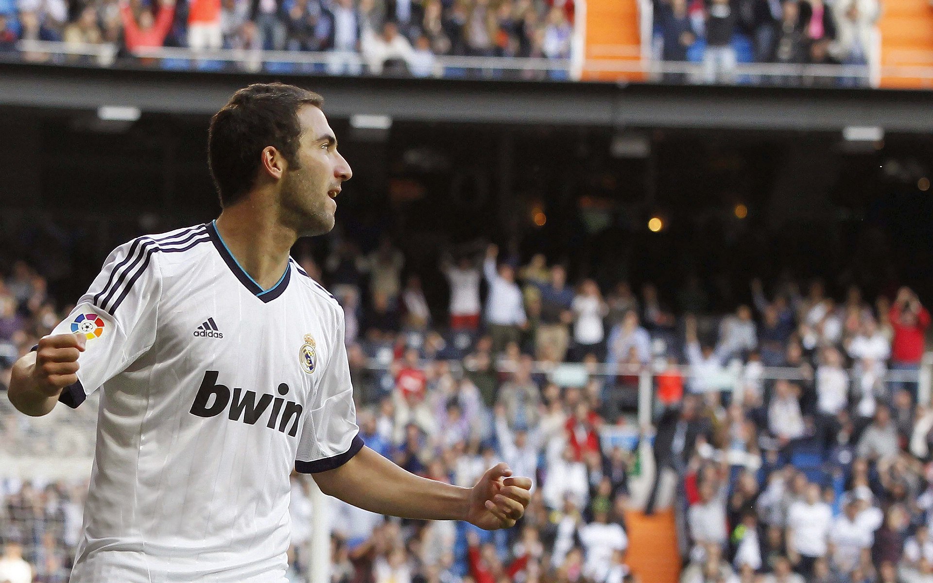 欧冠半决赛焦点战,黄蜂速胜勇士,战术闪电战震惊欧洲足坛