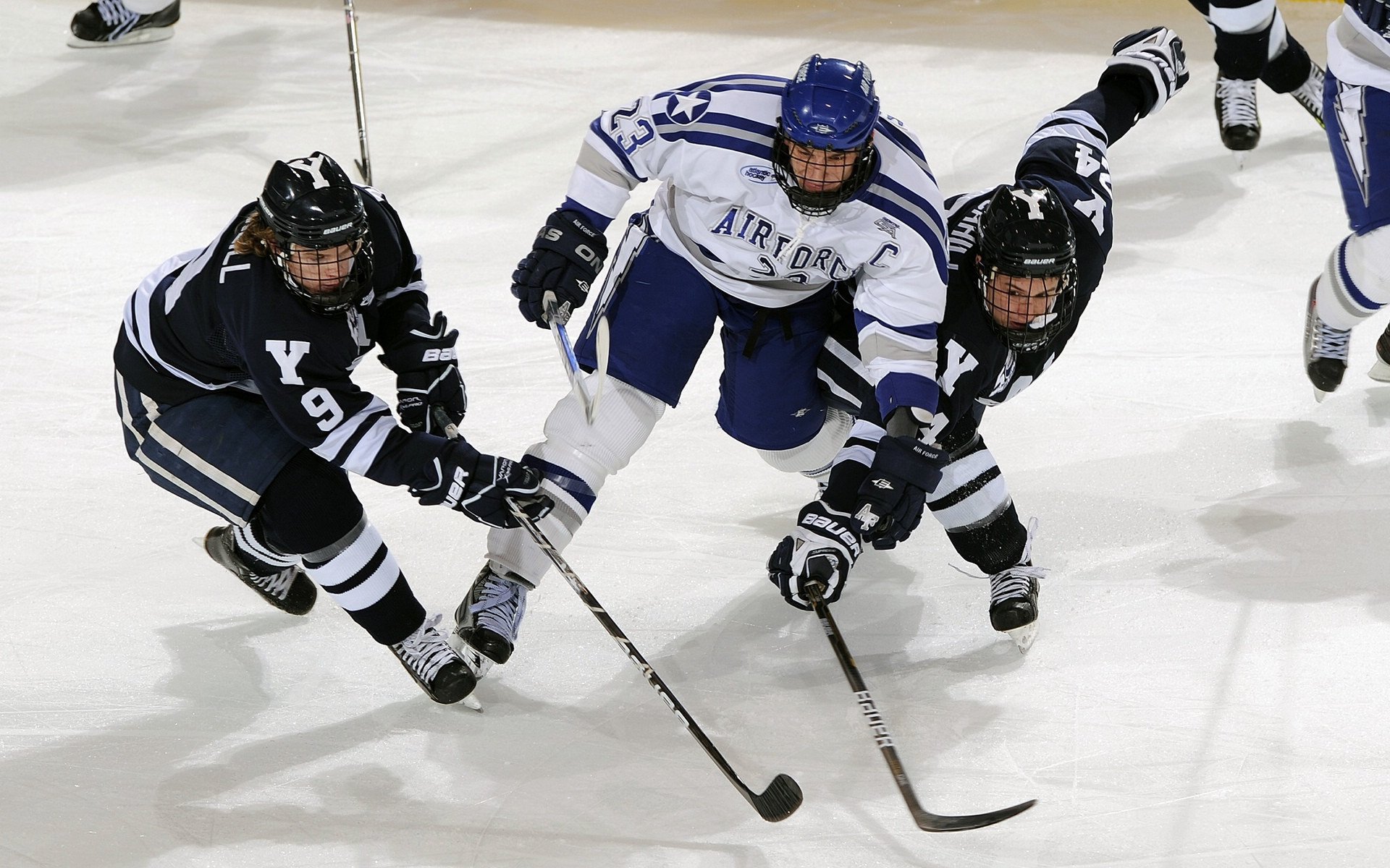魔术鏖战广东队，福克斯点燃赛场，一场跨越文化的篮球对话